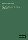 A pastoral letter to the Diocese of Rochester