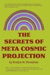 The Secrets of Meta-Cosmic Projection