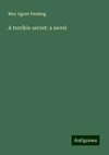 A terrible secret: a novel