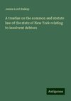 A treatise on the common and statute law of the state of New York relating to insolvent debtors