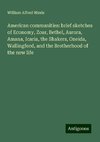 American communities: brief sketches of Economy, Zoar, Bethel, Aurora, Amana, Icaria, the Shakers, Oneida, Wallingford, and the Brotherhood of the new life