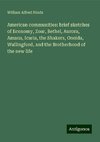 American communities: brief sketches of Economy, Zoar, Bethel, Aurora, Amana, Icaria, the Shakers, Oneida, Wallingford, and the Brotherhood of the new life