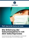 Die Erfahrung der Geburtsbegleiterin mit dem Geburtsprozess