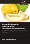 Resa dei frutti di melone sotto osmocondizionamento