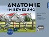 Anatomie in Bewegung