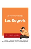 Réussir son Bac de français 2025 : Analyse du recueil Les Regrets de Joachim du Bellay