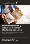 Fitorremediación y laboreo en suelos afectados por sales