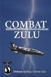 Combat Zulu