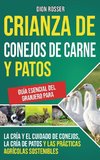 Crianza de conejos de carne y patos