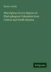 Description of new Species of Phytophagous Coleoptera from Central and South America