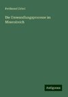 Die Umwandlungsprocesse im Mineralreich