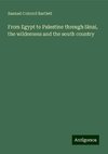 From Egypt to Palestine through Sinai, the wilderness and the south country