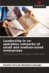 Leadership in co-operation networks of small and medium-sized enterprises