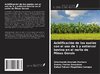 Acidificación de los suelos con el uso de S y estiércol bovino en el norte de Minas Gerais