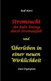 Stromsucht - der kalte Entzug durch Stromausfall und Überleben in einer neuen Wirklichkeit: Weltweite Flutkatastrophe, Klimawandel, Meteoriteneinschlag, Permakultur, Autismus, versunkene Städte