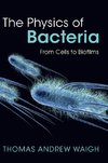 The Physics of Bacteria