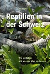 Reptilien in der Schweiz