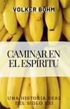 Caminar en el Espíritu