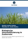 Biologische Stickstofffixierung in Zuckerrohr