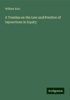 A Treatise on the Law and Practice of Injunctions in Equity