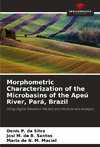 Morphometric Characterization of the Microbasins of the Apeú River, Pará, Brazil