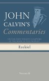 Commentaries on the First Twenty Chapters of the Book of the Prophet Ezekiel, Volume 2