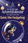 Der inoffizielle Adventskalender für alle Fans von Sonic the Hedgehog