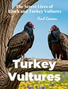 Turkey Vultures