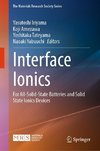 Interface Ionics