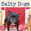 Salty Dogs