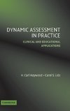 Haywood, H: Dynamic Assessment in Practice