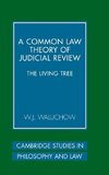 A Common Law Theory of Judicial Review