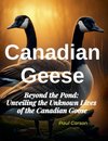 Canadian Geese