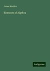 Elements of Algebra