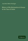 History of the Reformation in Europe in the Time of Calvin