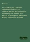 Die Sicherung von Leben und Gesundheit im Fabrik- und Gewerbe-Betriebe, auf der Brusseler Ausstellung vom Sommer 1876. Bericht, im Auftrage des Ministers fur Handel, Gewerbe, etc. erstattet