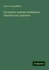 Die Semiten in ihrem Verhältnis zu Chamiten und Japhetiten