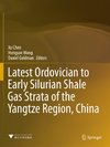 Latest Ordovician to Early Silurian Shale Gas Strata of the Yangtze Region, China