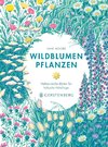 Wildblumen pflanzen