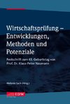 Wirtschaftsprüfung - Entwicklungen, Methoden und Potenziale