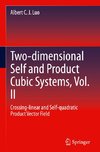 Two-dimensional Self and Product Cubic Systems, Vol. II