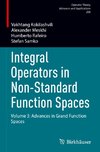 Integral Operators in Non-Standard Function Spaces