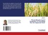 Physio-Morphological Evaluation of Promising Rice for Improved Yield