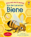 Schau mal, wie ich wachse! Von der Larve zur Biene