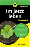 Im Jetzt leben für Dummies - SONDERAUSGABE