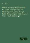 XXXVI.¿On the probable nature of the animal which produced the Stromatoporidæ, traced through Hydractinia, Millepora alcicornis, and Caunopora, to Stromatopora