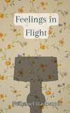 Feelings in Flight