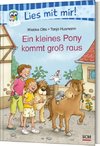 Ein kleines Pony kommt groß raus