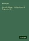 Geological Survey of Ohio, Report of Progress in 1870