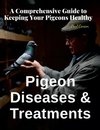 Pigeon Diseases and Treatments